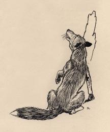Marginal illustration of the fox