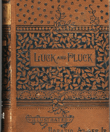 Luck and Pluck; or, John Oakley's Inheritance