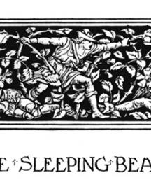 Many king's sons had sought to pass the thorn-hedge, but had been caught and pierced by the thorns, and had died a miserable death.