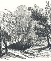Woodland Scenery, Tailpiece to Robin Hood and the Butcher