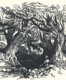 Woodland Scenery, Headpiece to Robin Hood and the Beggar