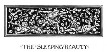 "Many king's sons had sought to pass the thorn-hedge, but had been caught and pierced by the thorns, and had died a miserable death."