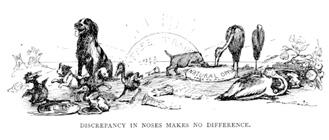 Discrepancy in Noses Makes No Difference