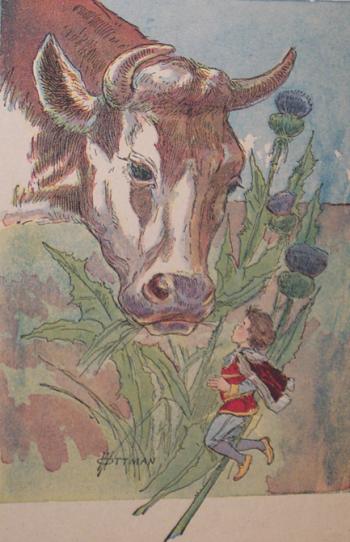 Cow Eating Thistle