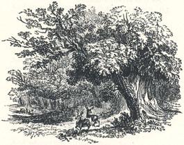 Woodland Scenery, Headpiece to "A Tale of Robin Hood"