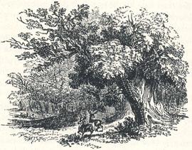 Woodland Scenery, Headpiece to "Robin Hood and the Butcher"